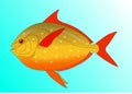 Drawing of Fish with white background Royalty Free Stock Photo