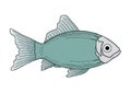 Drawing of Fish with white background Royalty Free Stock Photo