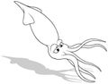 Drawing of a Floating Squid Royalty Free Stock Photo