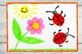 Drawing: flower, sun and ladybugs on white paper background Royalty Free Stock Photo