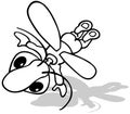 Drawing of a Flying Beetle from Top View Royalty Free Stock Photo