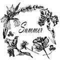 Drawing frame wreath of summer flowers irises and roses and meadow grasses, sketch of hand-drawn illustration Royalty Free Stock Photo