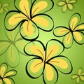 Drawing Frangipani background Royalty Free Stock Photo