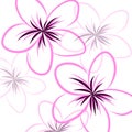 Drawing Frangipani background Royalty Free Stock Photo