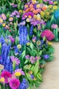 drawing of a garden filled with vibrant flowers.png Royalty Free Stock Photo