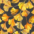 Drawing of ginkgo leaf, water color paper textures. Floral background for fall design.