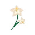 drawing gladiolus flower ornament image Royalty Free Stock Photo