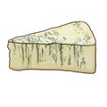 drawing gorgonzola cheese isolated at white background