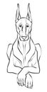 Drawing, a graceful Doberman dog lying in a Sphinx pose. Illustration of a black and white sketch. Royalty Free Stock Photo