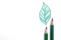 Drawing of green leaf and color pencils on background, top view Royalty Free Stock Photo