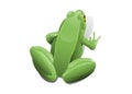 Drawing of green sitting frog with white background illustration