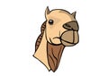 Drawing of head camel with a white background