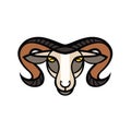 Drawing head of ram