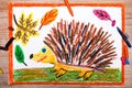 Drawing - hedgehog and autumn leaves