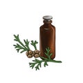 drawing hinoki essential oil