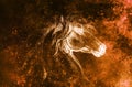 Drawing horse on old paper, original hand draw. Color effect. Royalty Free Stock Photo