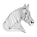 Drawing horse zentangle style for adult and children coloring book, tattoo, shirt design, logo, sign. stylized Royalty Free Stock Photo