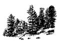 Drawing a house among the pines and firs illustration