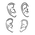 Drawing human ear. ear vector sketch on a white background Royalty Free Stock Photo