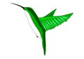 Drawing of hummingbird with white background illustration