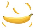 Drawing of a banana surrounded with floating smaller bananas with white background.