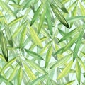 Drawing illustration. Beautiful green leaves. Watercolor painting for design.