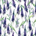Drawing  illustration. Beautiful lavender flowers and bamboo leaves. Watercolor painting for design. Royalty Free Stock Photo