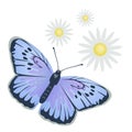 Blue-eyed butterfly illustration