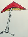 Amanita mushroom Drawing illustration trippy psychadellic sketch art random cool pics