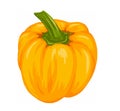 Drawing of isolated glossy orange pepper vegetable