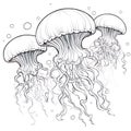 Drawing of jellyfish black and white colors