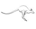 Drawing kangaroo illustration jumping Royalty Free Stock Photo
