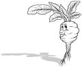 Drawing of Kohlrabi with a Cheerful Face and Leaves