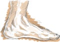 Drawing of left human foot