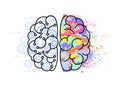 Drawing left and right side of brain