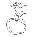 Drawing line apple with hand on the white