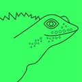 Drawing of lizard on green background
