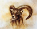 Drawing of male wild sheep with mighty horns on abstract blurry background.