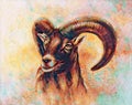 Drawing of male wild sheep with mighty horns on abstract blurry background