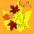 The drawing with maple leaves and an inscription, autumn, pattern