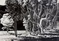 Drawing meadow landscape in the park with black and white.