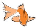 Drawing of an orange fish vector or color illustration Royalty Free Stock Photo