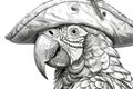 A drawing of a parrot wearing a pirate hat, coloring book for kids. Royalty Free Stock Photo