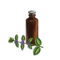 drawing peppermint essential oil