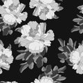 1471 pattern, drawing of a pion flower in monochrome colors, ornament for wallpaper and fabric, background for scrapbooking, wrapp