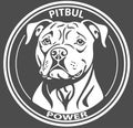 Drawing of a Pit Bull Head as a Textile Print Motif Royalty Free Stock Photo