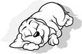 Drawing of a Puppy Sleeping on the Ground