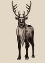 Drawing of Reindeer standing