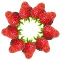 Drawing of a ripe strawberry for the design of a postcard, website, book, cover. Circle of berries.