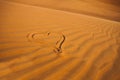 Drawing of romantic heart in the arabic sand desert.